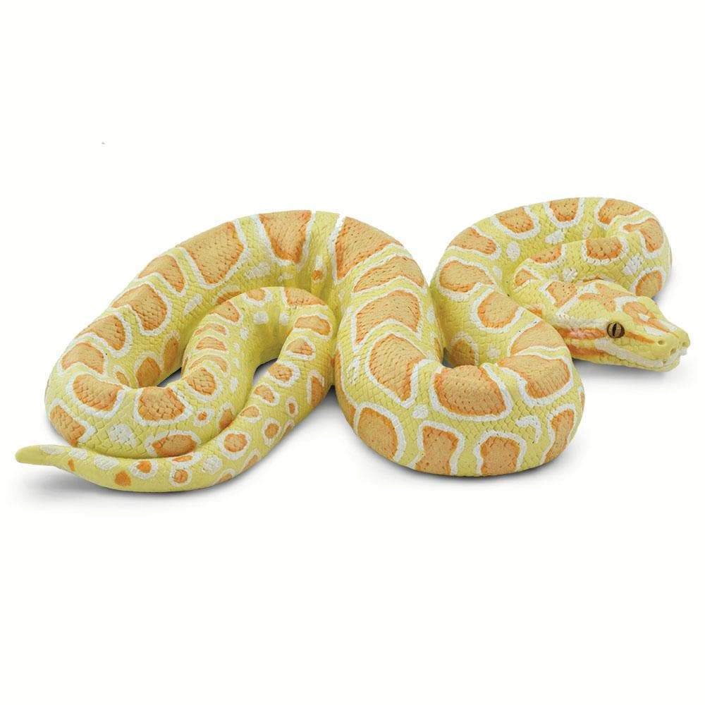 Safari Ltd. - Albino Burmese Python Snake Kids Toy Figure