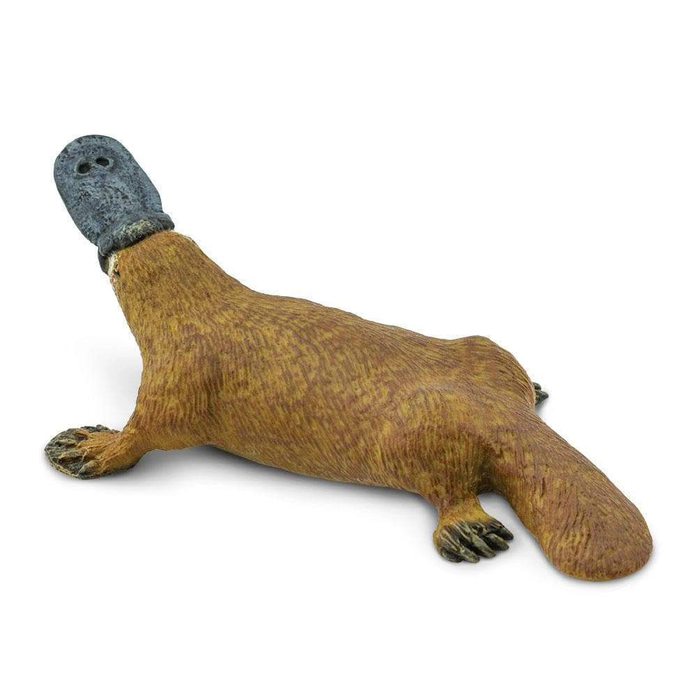 Safari Ltd. - Platypus Kids Toy Figure
