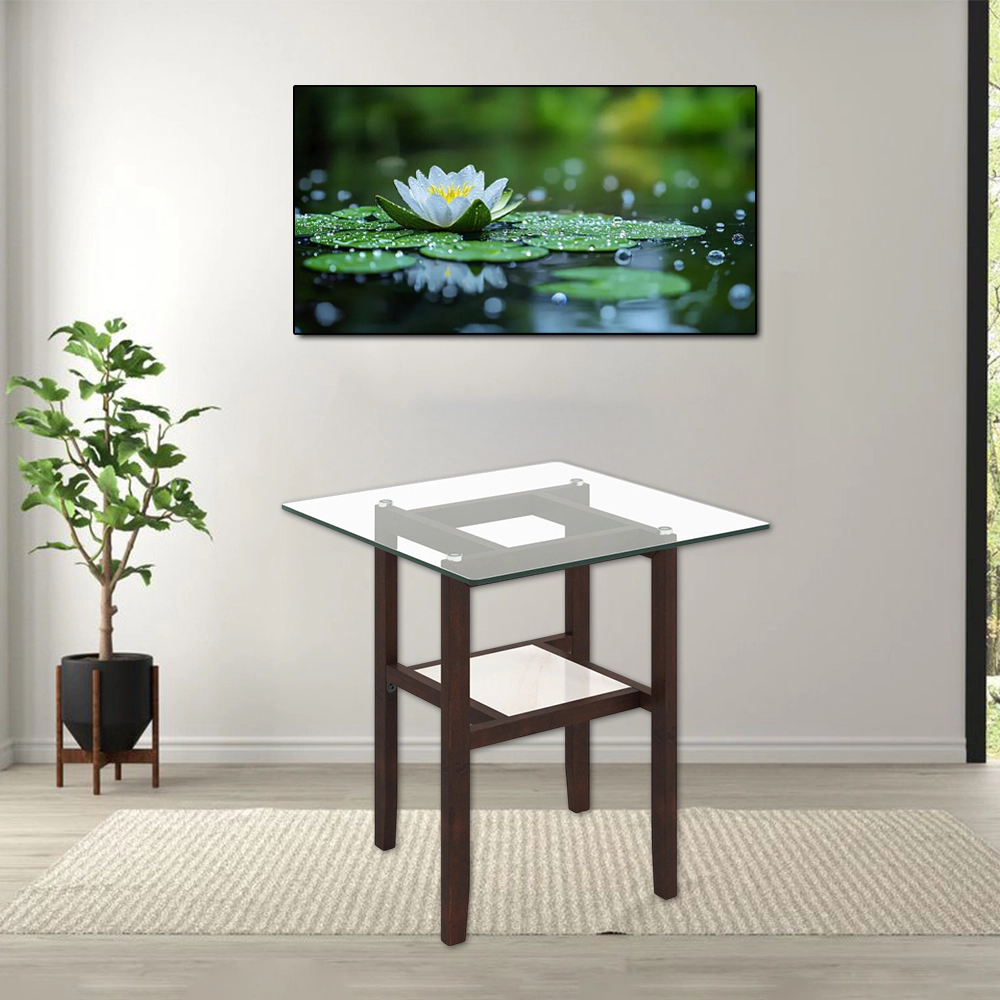 Hivvago 24-Inch Square Glass Coffee Table with Double Layers and Built-In Storage Shelf