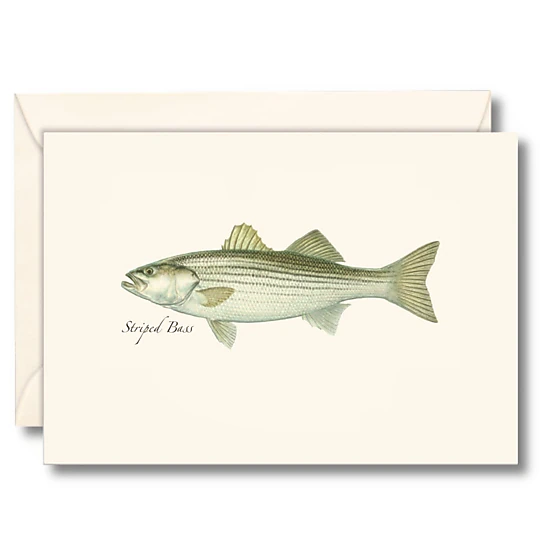 Earth Sky + Water Striped Bass Notecard Set - 8 Blank Cards with Envelopes