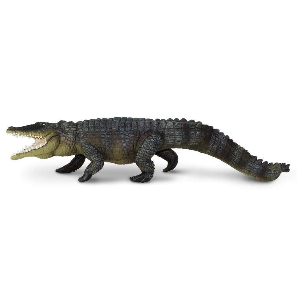 Safari Ltd. - Saltwater Crocodile Kids Toy Figure