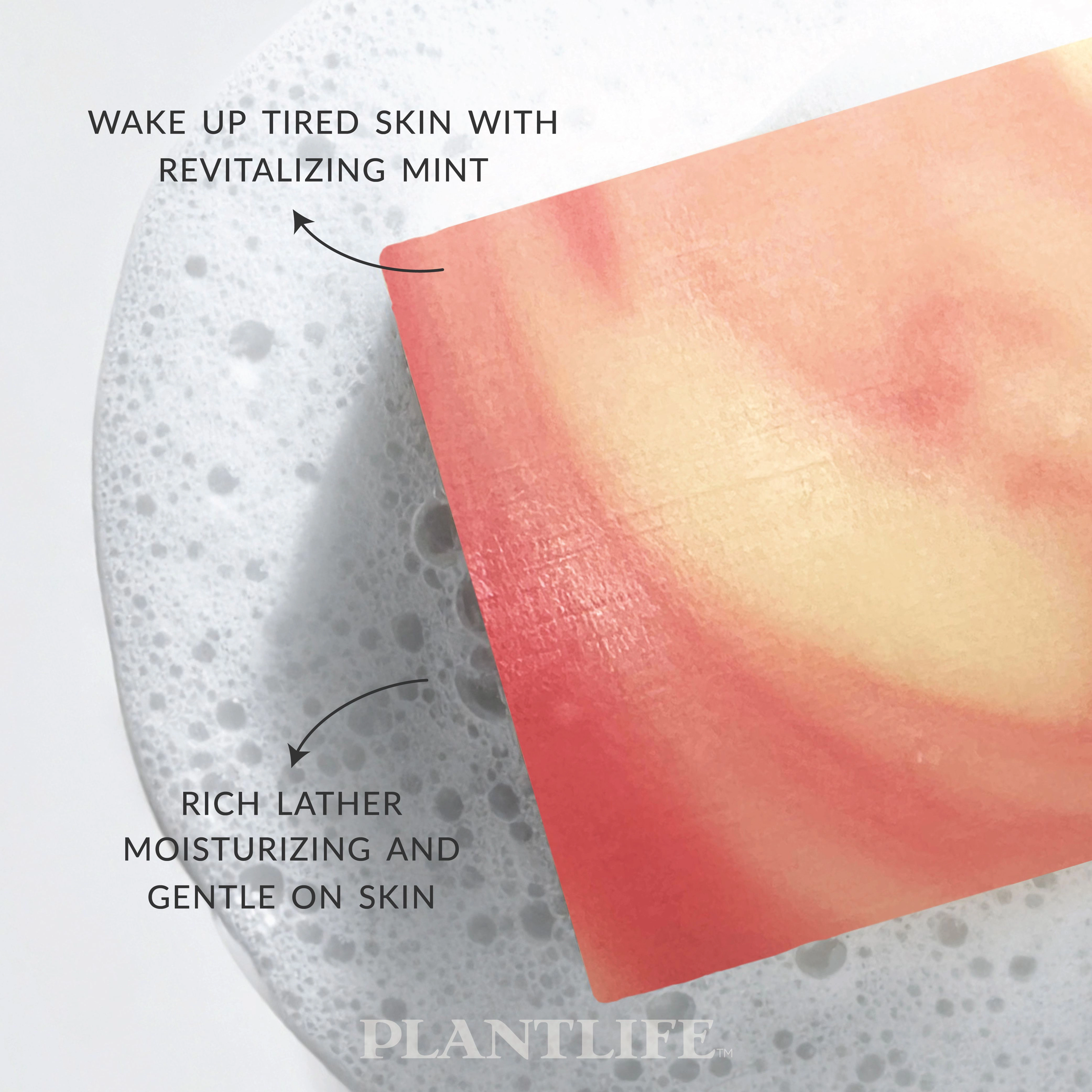Plantlife Candy Cane Aromatherapy Herbal Soap