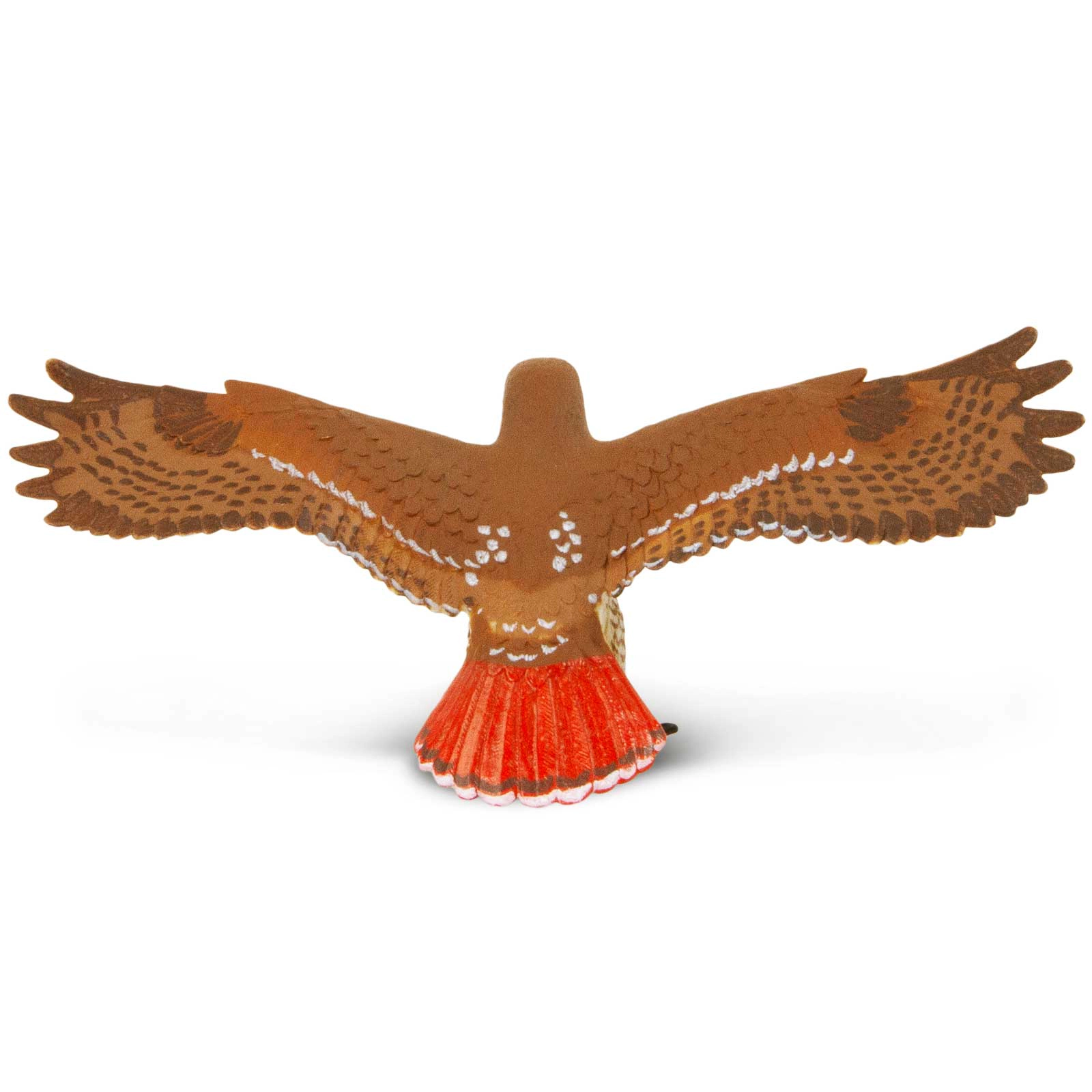 Safari Ltd. - Red-Tailed Hawk Kids Toy Figure