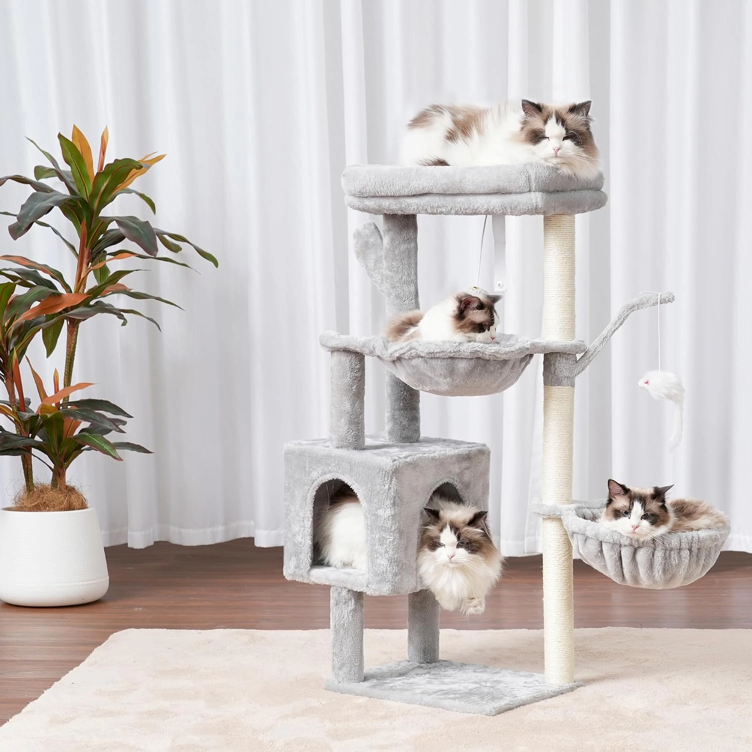 Heybly comes with a cat tree wrapped entirely in sisal.