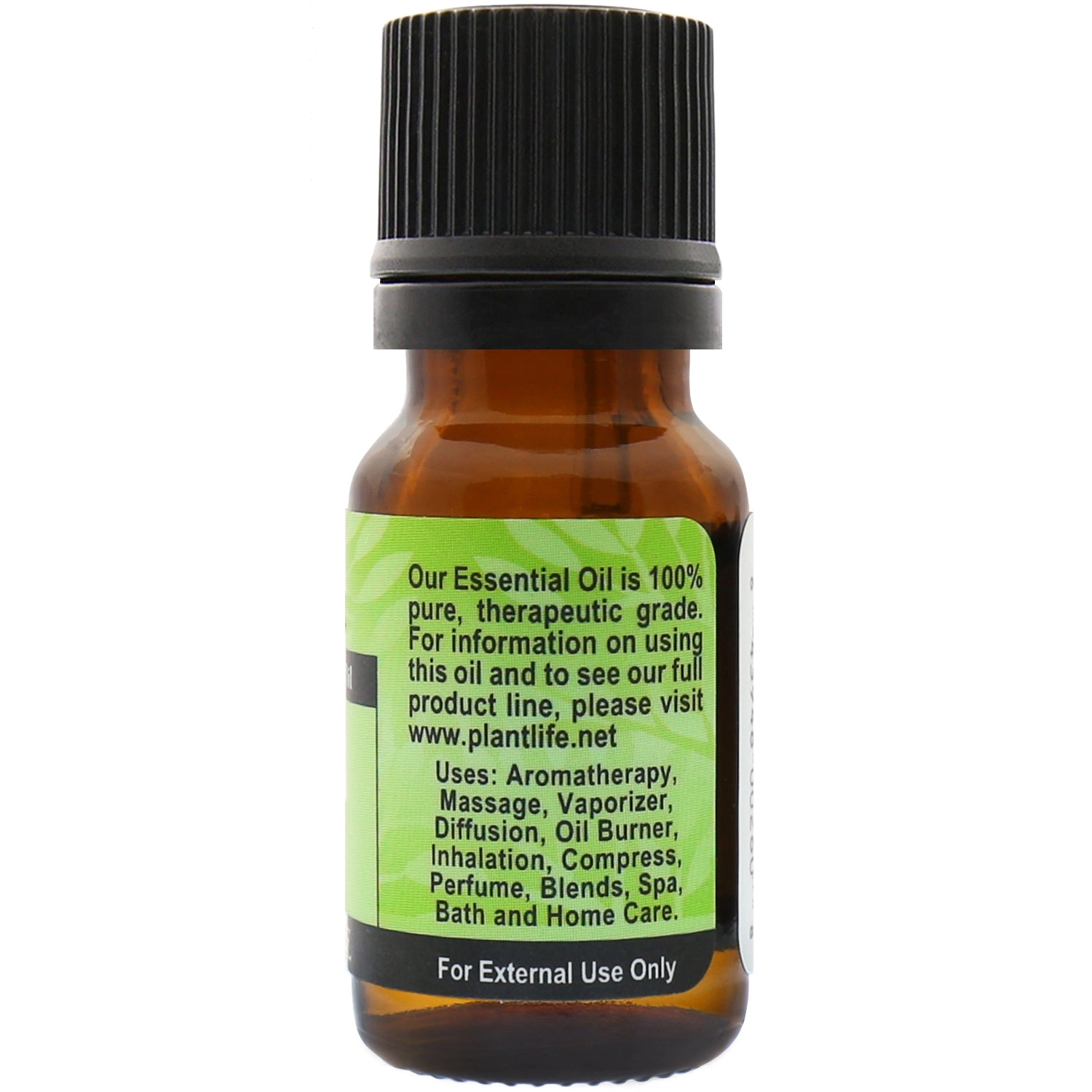 Plantlife Fennel Essential Oil