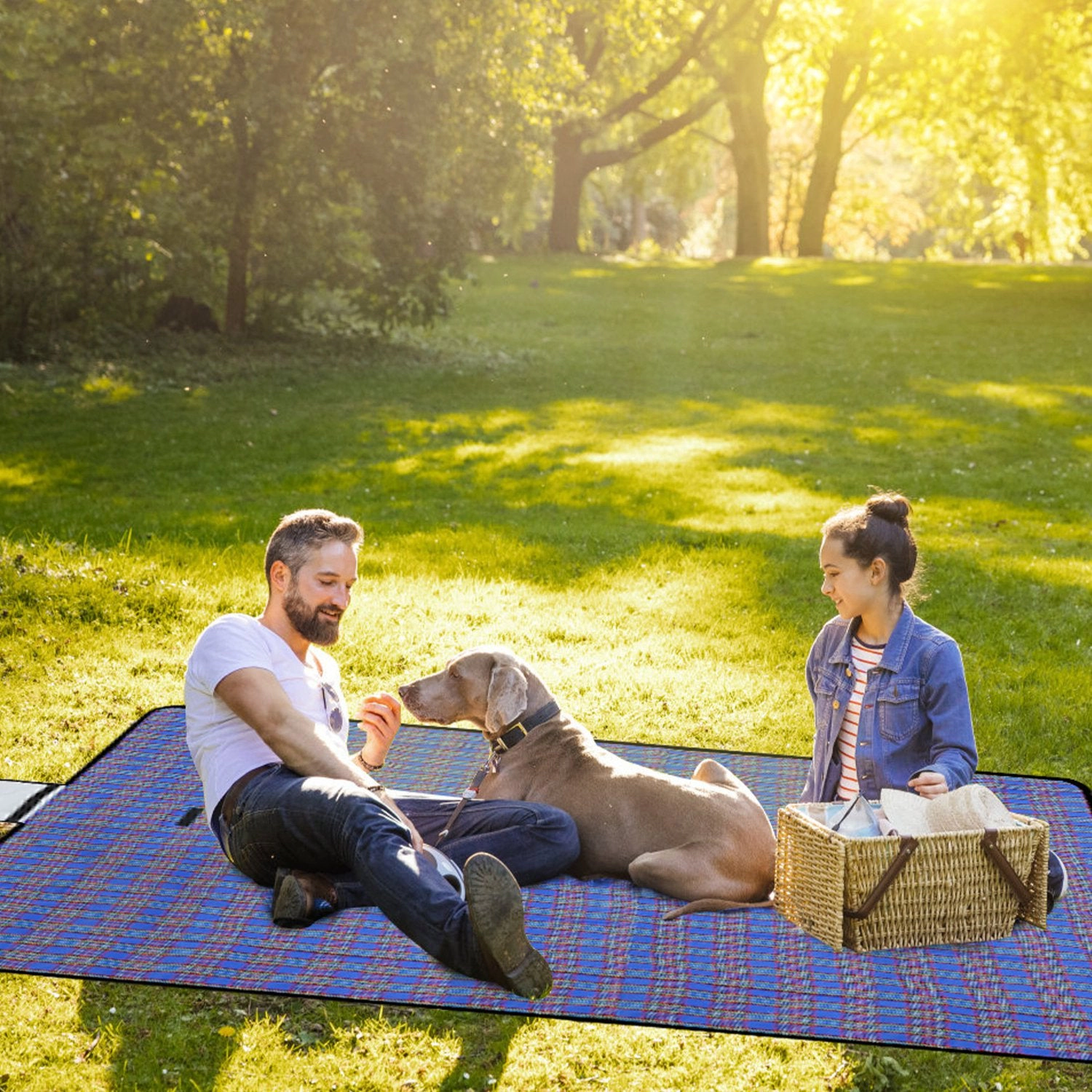GBruno Waterproof Foldable Picnic Blanket