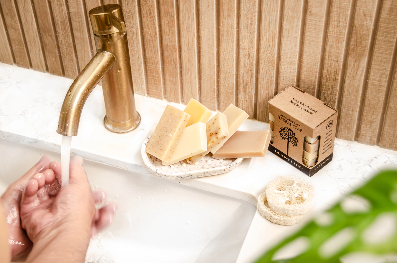 Plantlife Aromatherapy Herbal Soap Sampler 6-Pack Gift Set