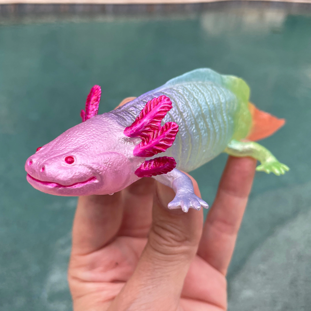 Safari Ltd. - Rainbow Axolotl Kids Toy Figure