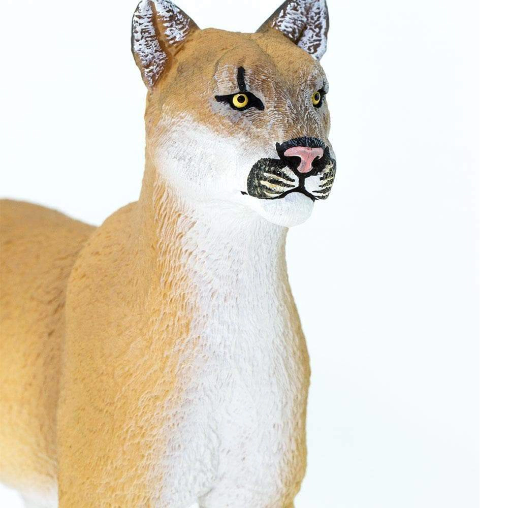Safari Ltd. - Florida Panther Kids Toy Figure