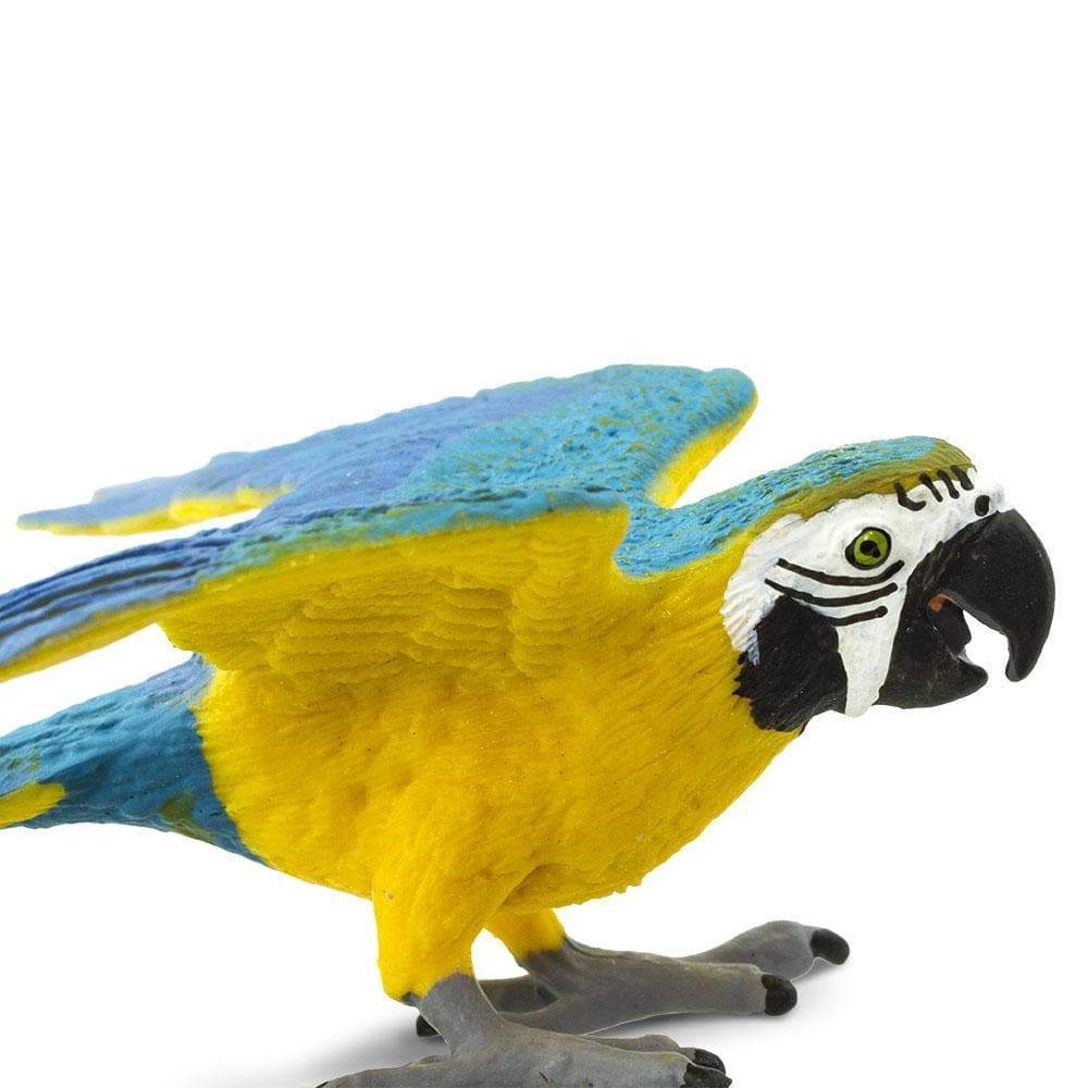 Safari Ltd. - Blue & Gold Macaw Kids Toy Figure