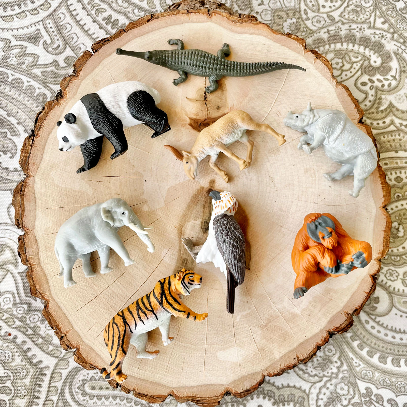 Safari Ltd. - Asian Animals TOOB - contains 8 Mini Figurines