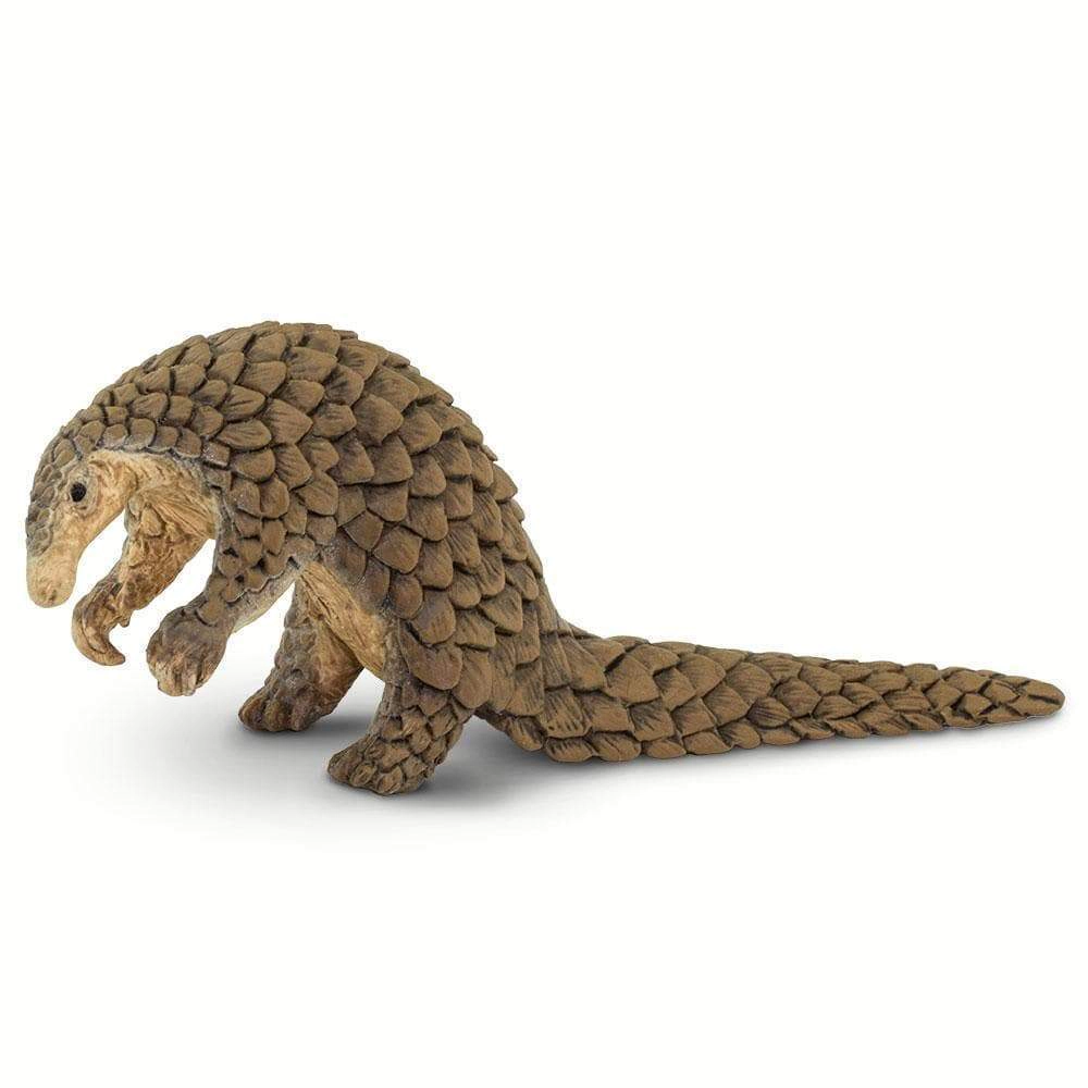 Safari Ltd. - Pangolin Kids Toy Figure