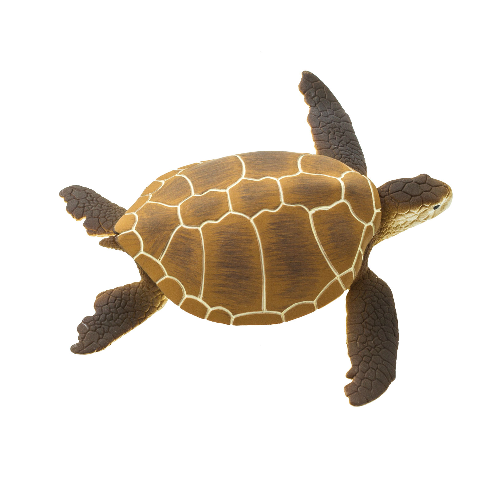 Safari Ltd. - Green Sea Turtle Kids Toy Figure