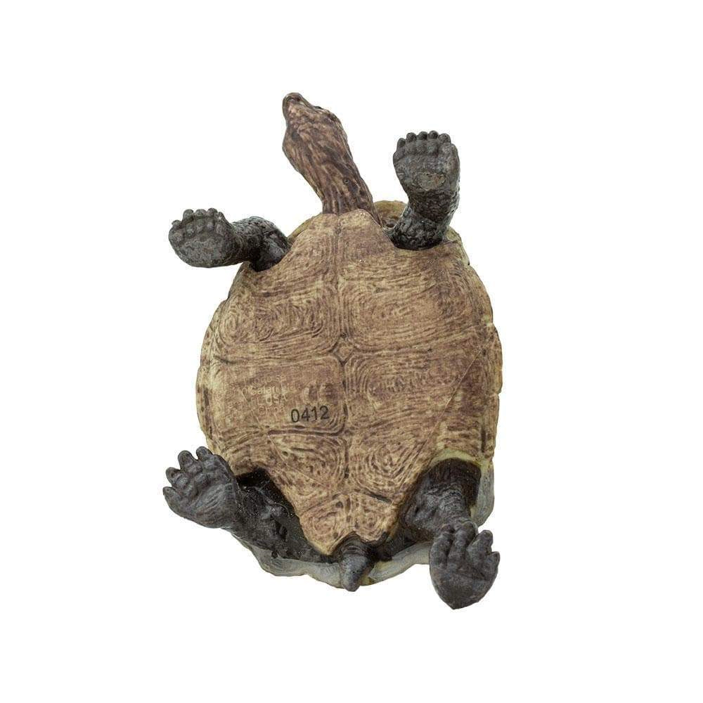 Safari Ltd. - Desert Tortoise Kids Toy Figure