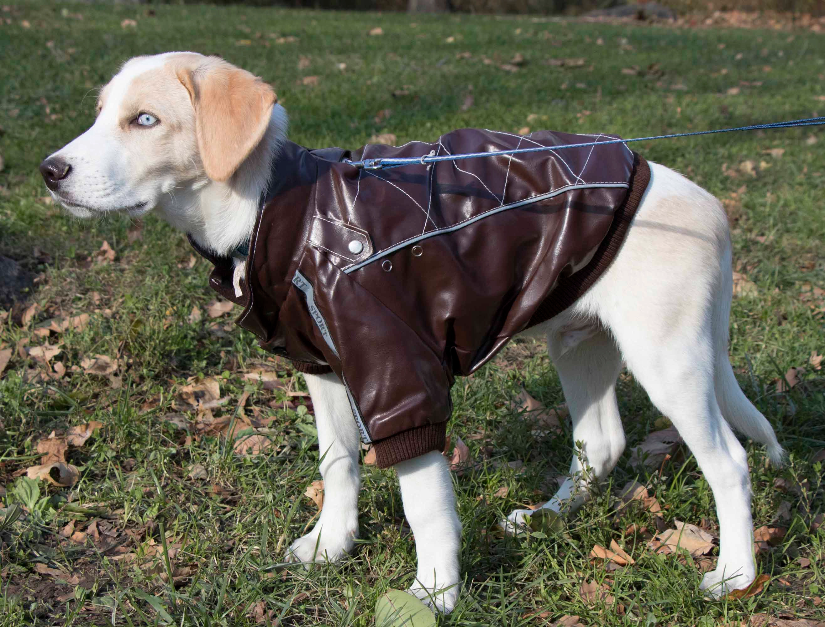 Pet Life ® Wuff-Rider Fashion Suede Stitched Pet Coat