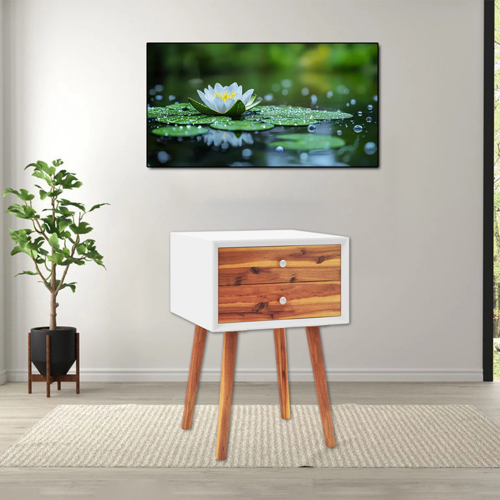 Hivvago Wooden End Table with 2 Storage Drawers