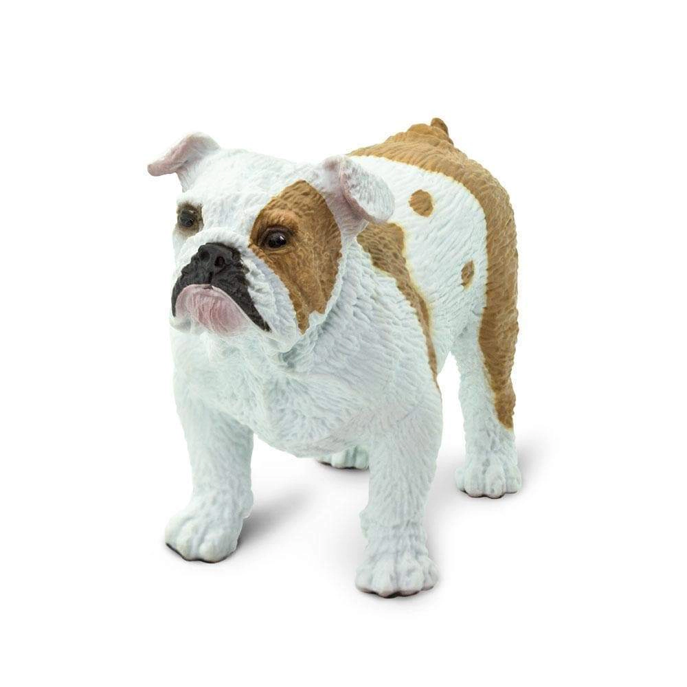 Safari Ltd. - Bulldog Kids Toy Figure