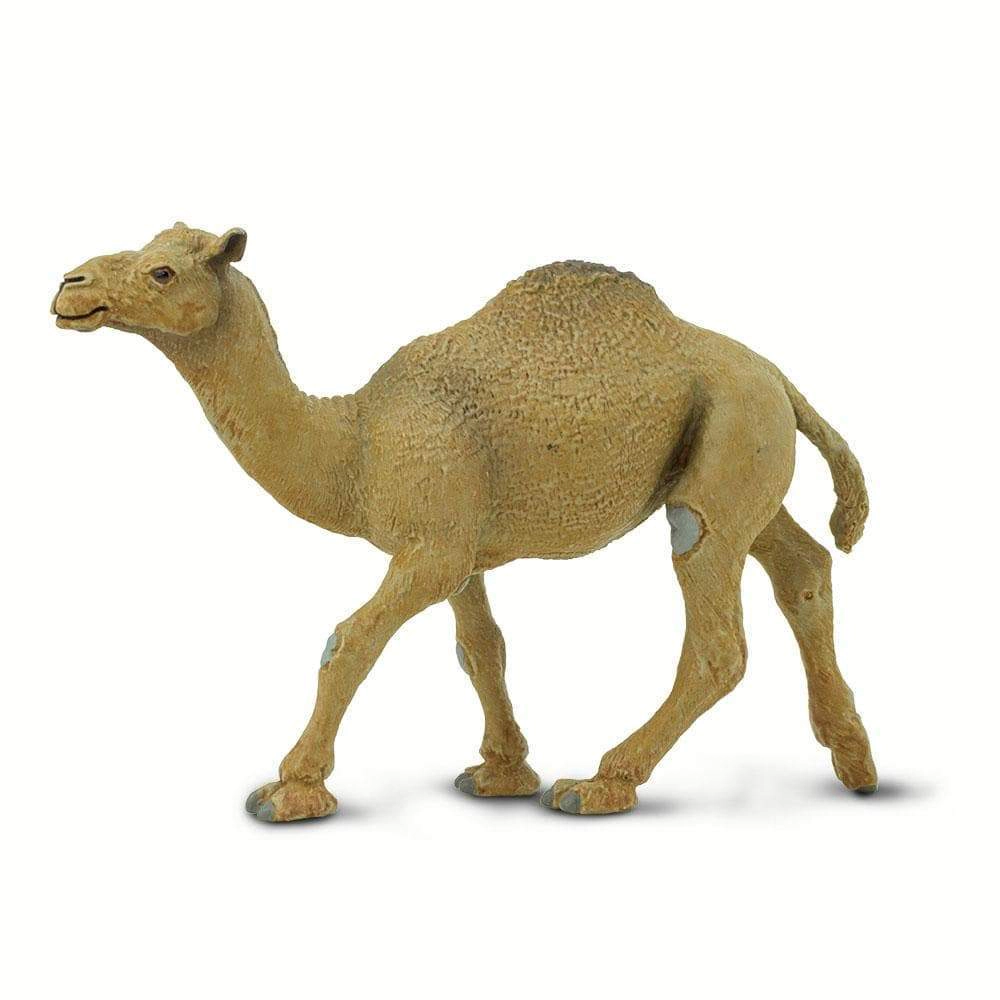 Safari Ltd. - Dromedary Camel Kids Toy Figure