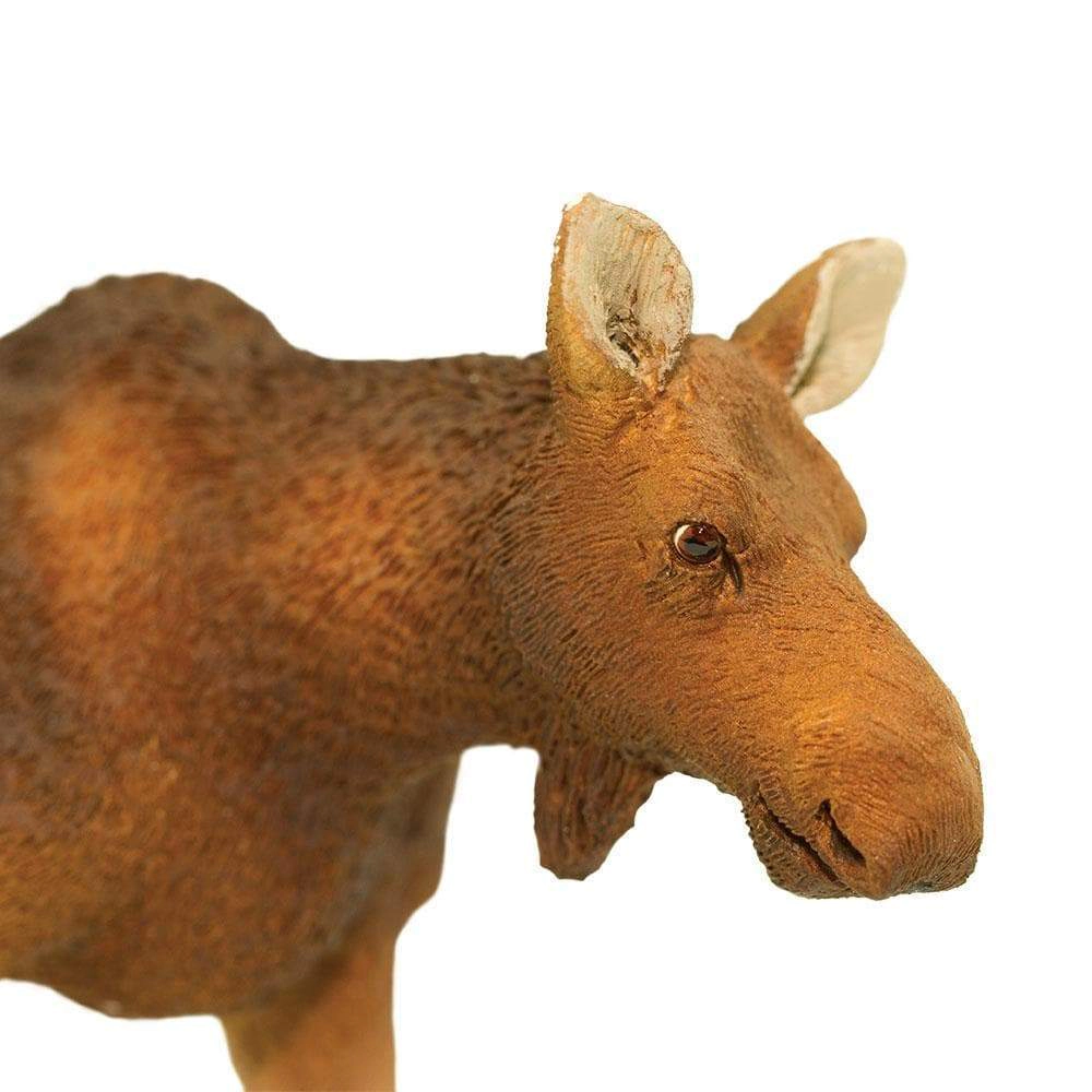 Safari Ltd. - Cow Moose Kids Toy Figure