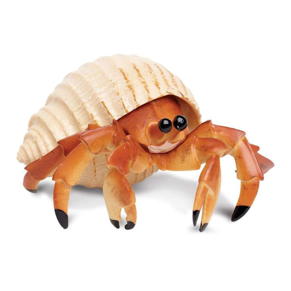 Safari Ltd. - Hermit Crab Kids Toy Figure