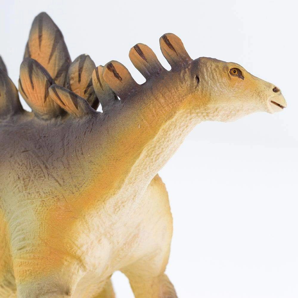 Safari Ltd. - Stegosaurus Kids Prehistoric/Dinosaur Toy Figure
