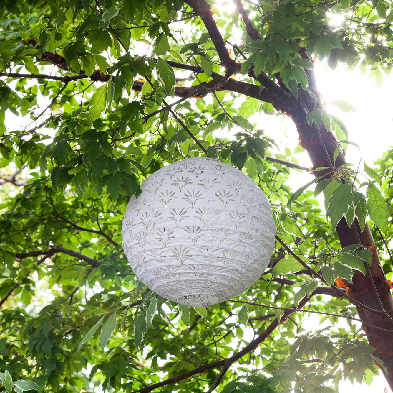 Allsop Home & Garden Soji Stella Deco Globe 12 Solar Lantern