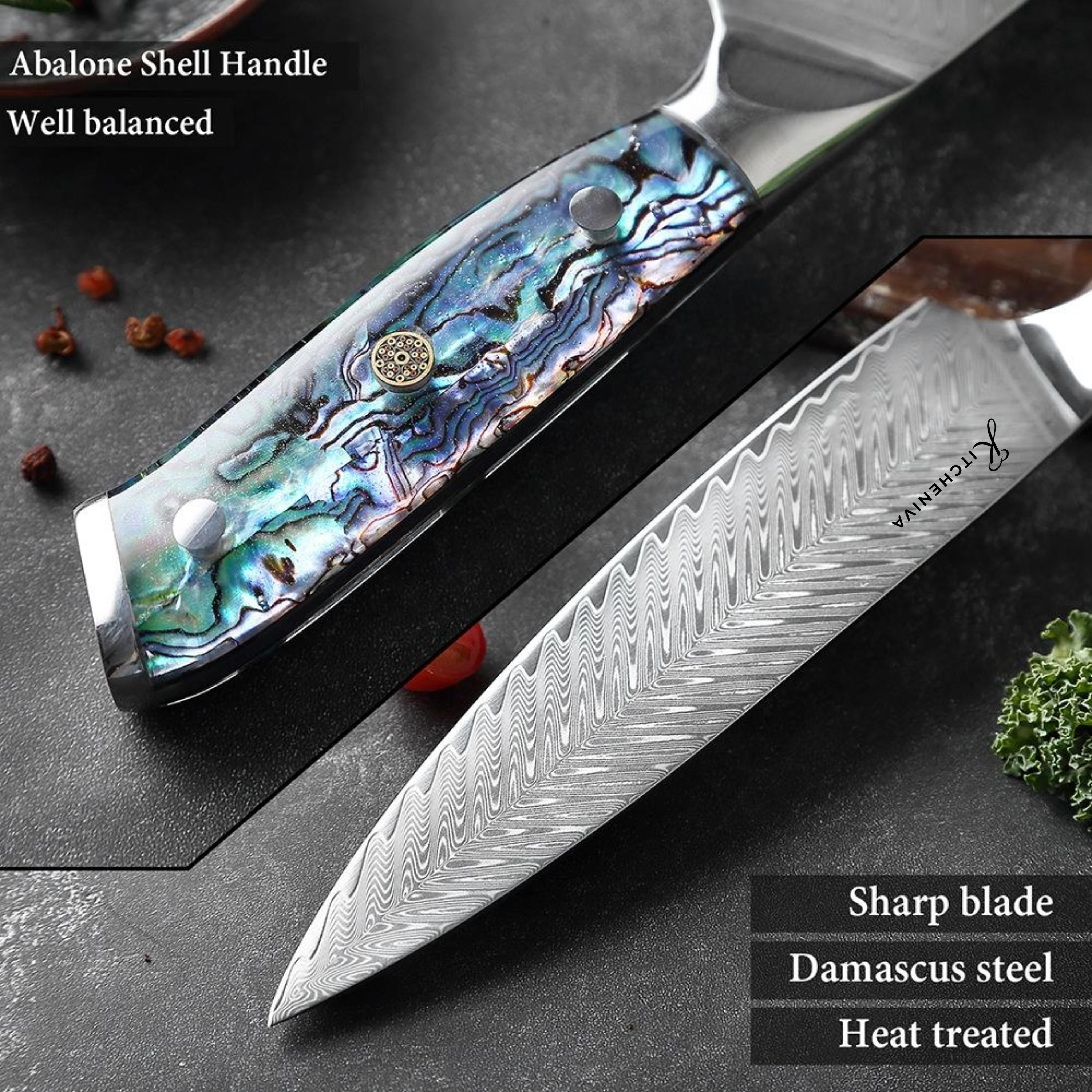 Kitcheniva 4-Piece VG10 Core Damascus Steel Knife Set With Abalone Shell Resin Handle