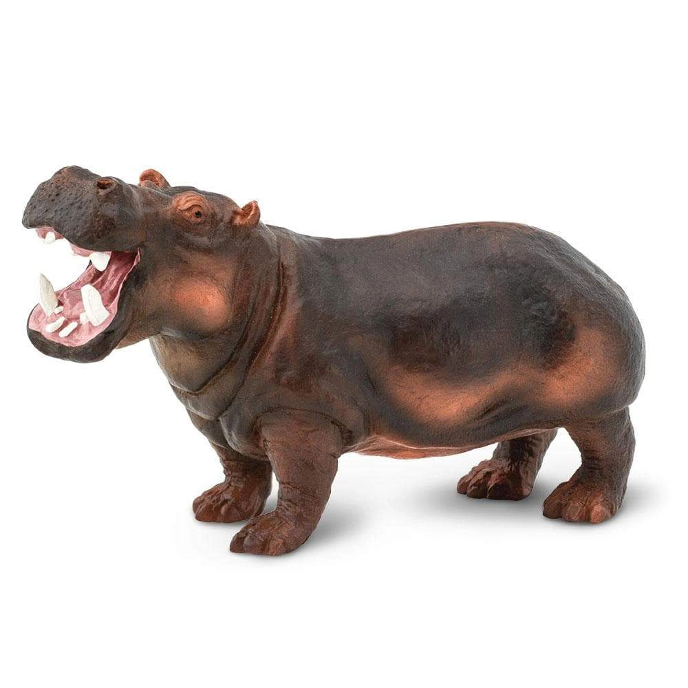 Safari Ltd. - Hippopotamus Kids Toy Figure