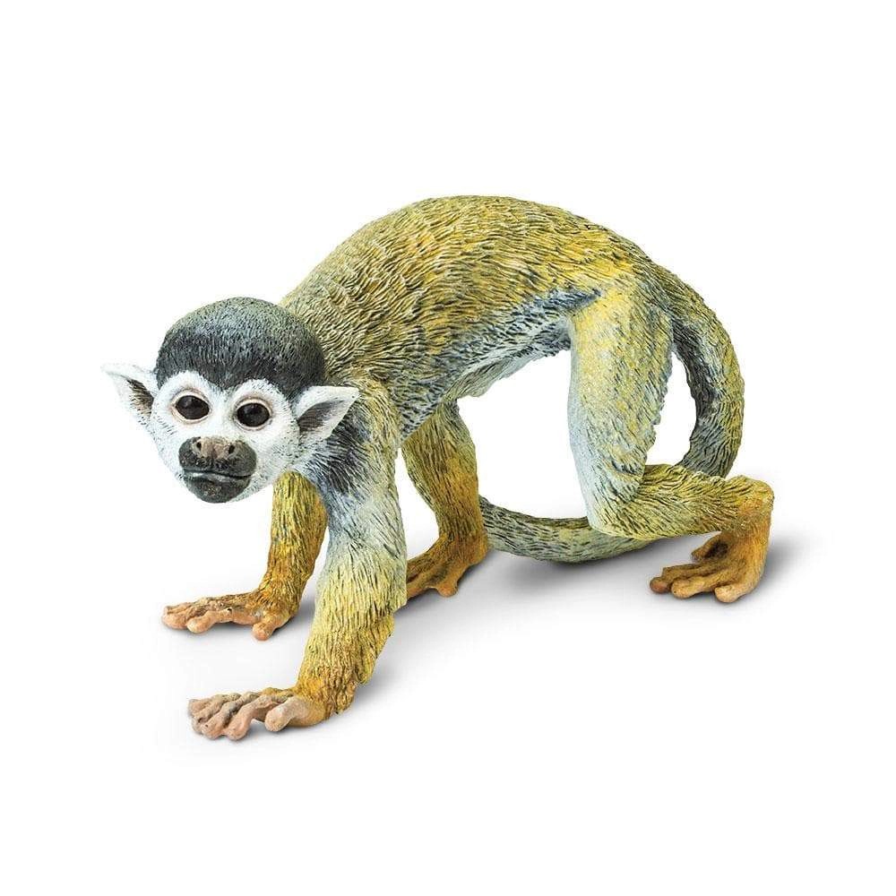 Safari Ltd. - Squirrel Monkey Kids Toy Figure