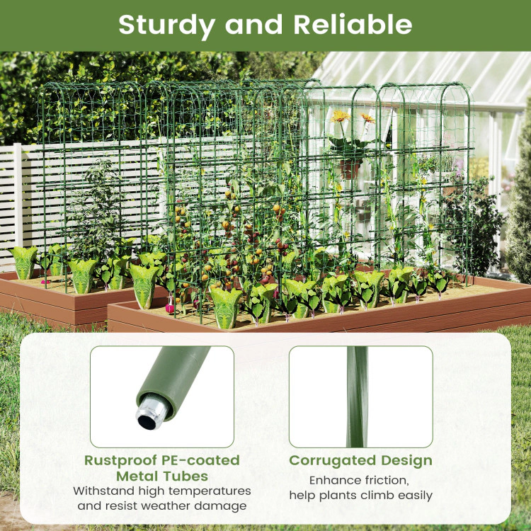 Hivvago Raised Garden Planter with Self-Watering System and Trellis