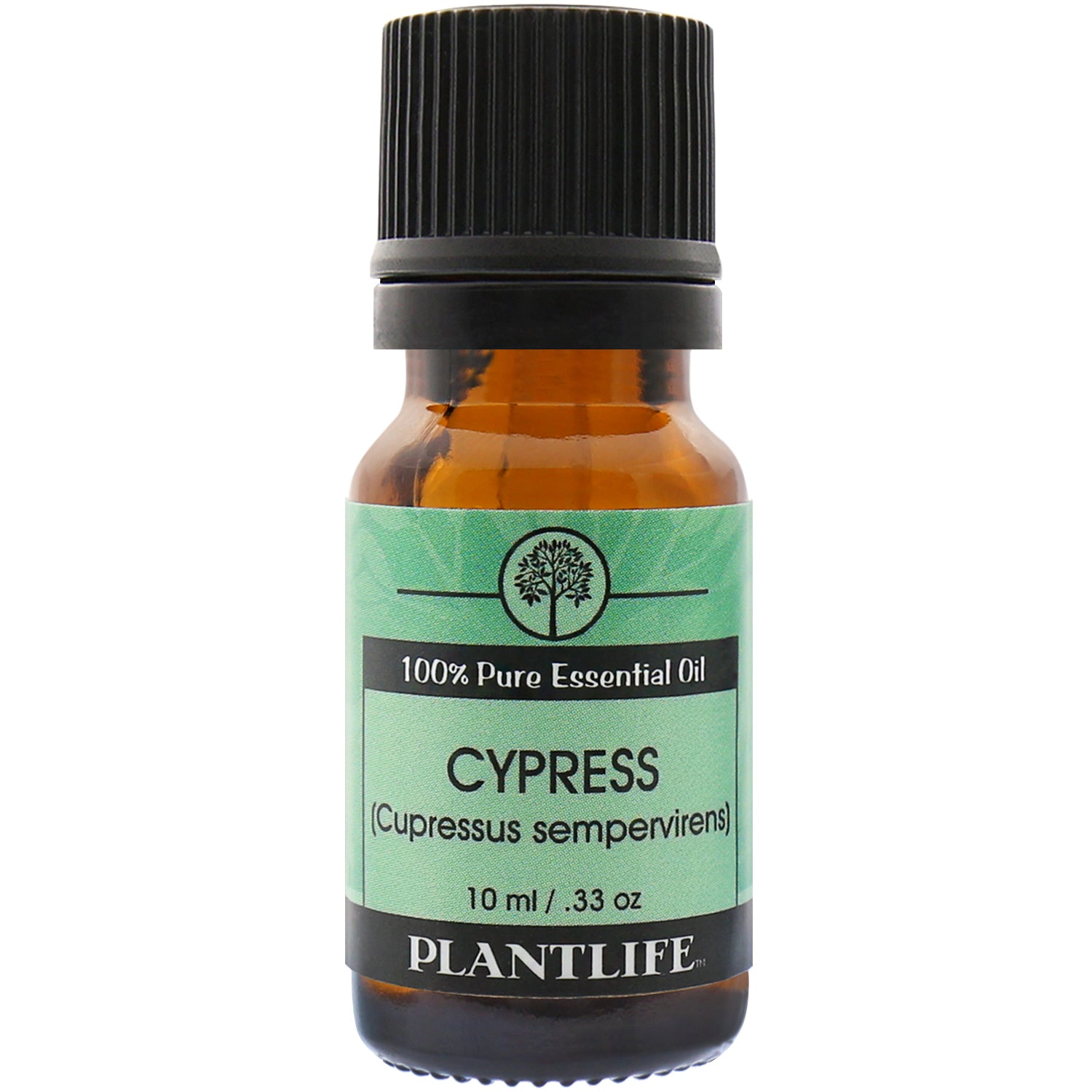 Plantlife Cypress Essential Oil