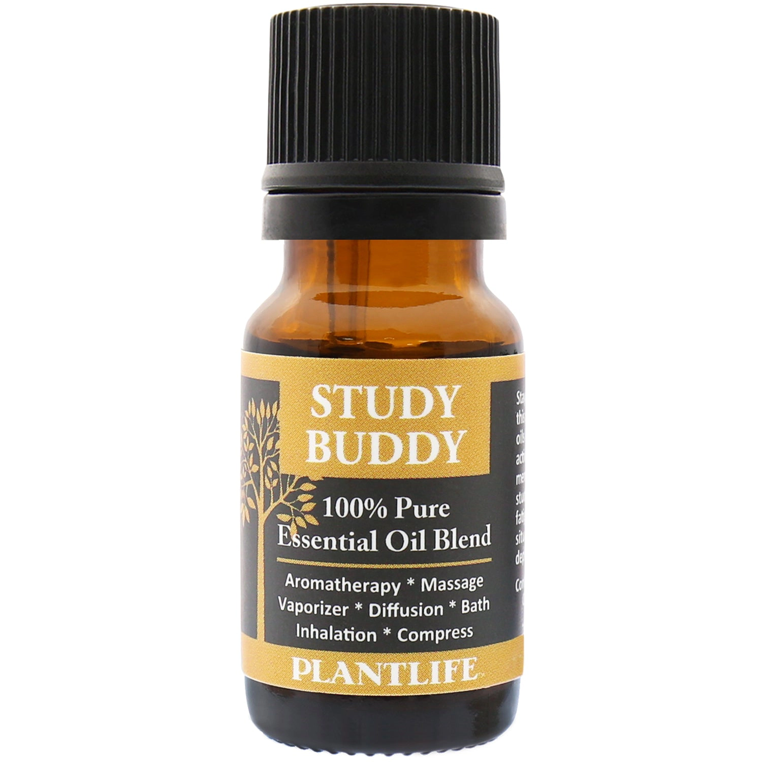 Plantlife Study Buddy Essential Oil Blend