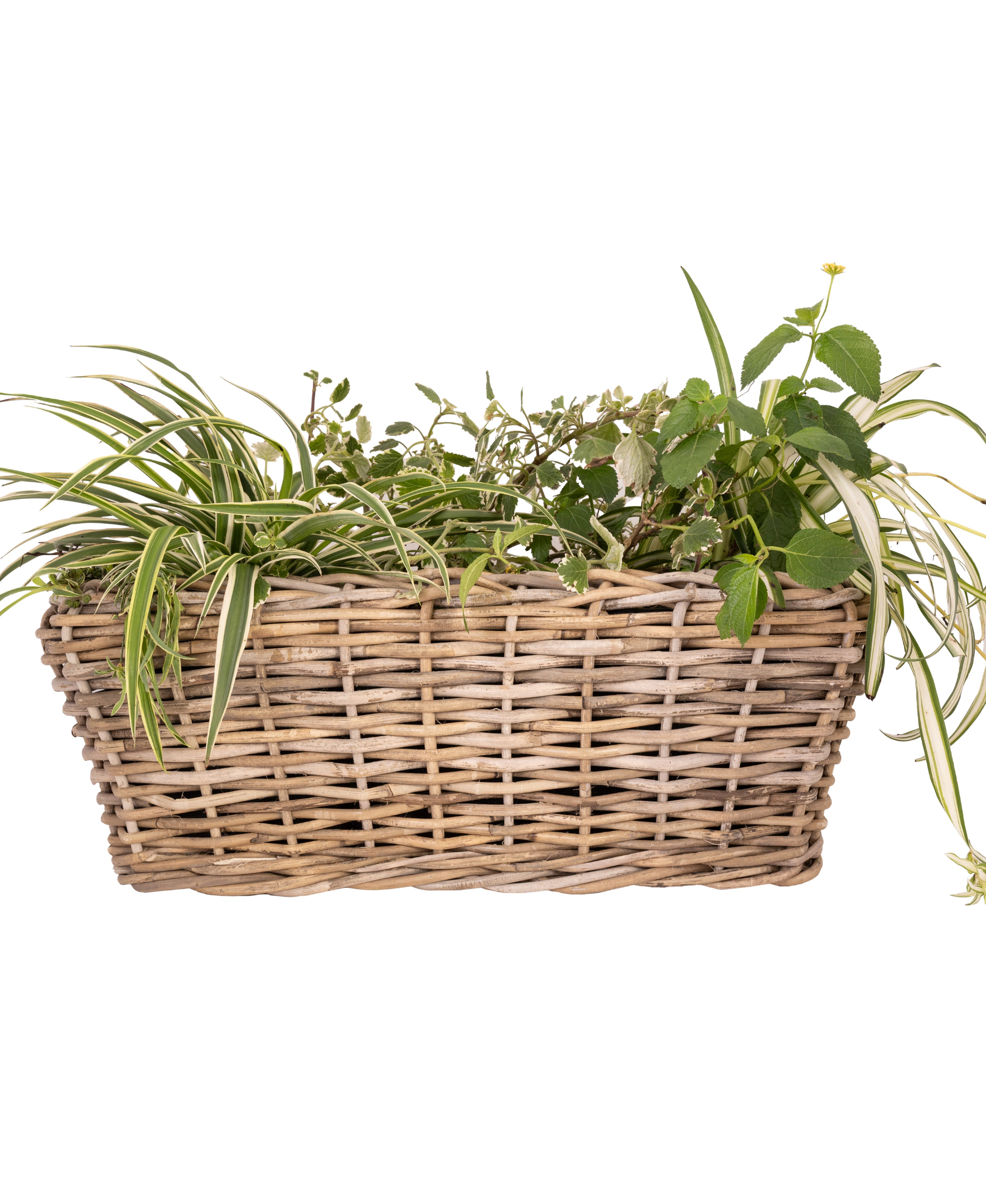 Saboga Home™ Rectangular Planter with Plastic Insert