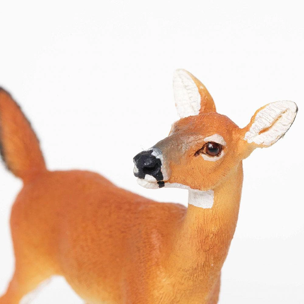 Safari Ltd. - Whitetail Doe Kids Toy Figure