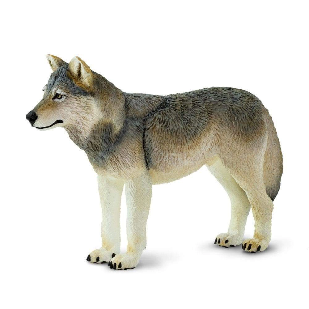 Safari Ltd. - Gray Wolf Kids Toy Figure