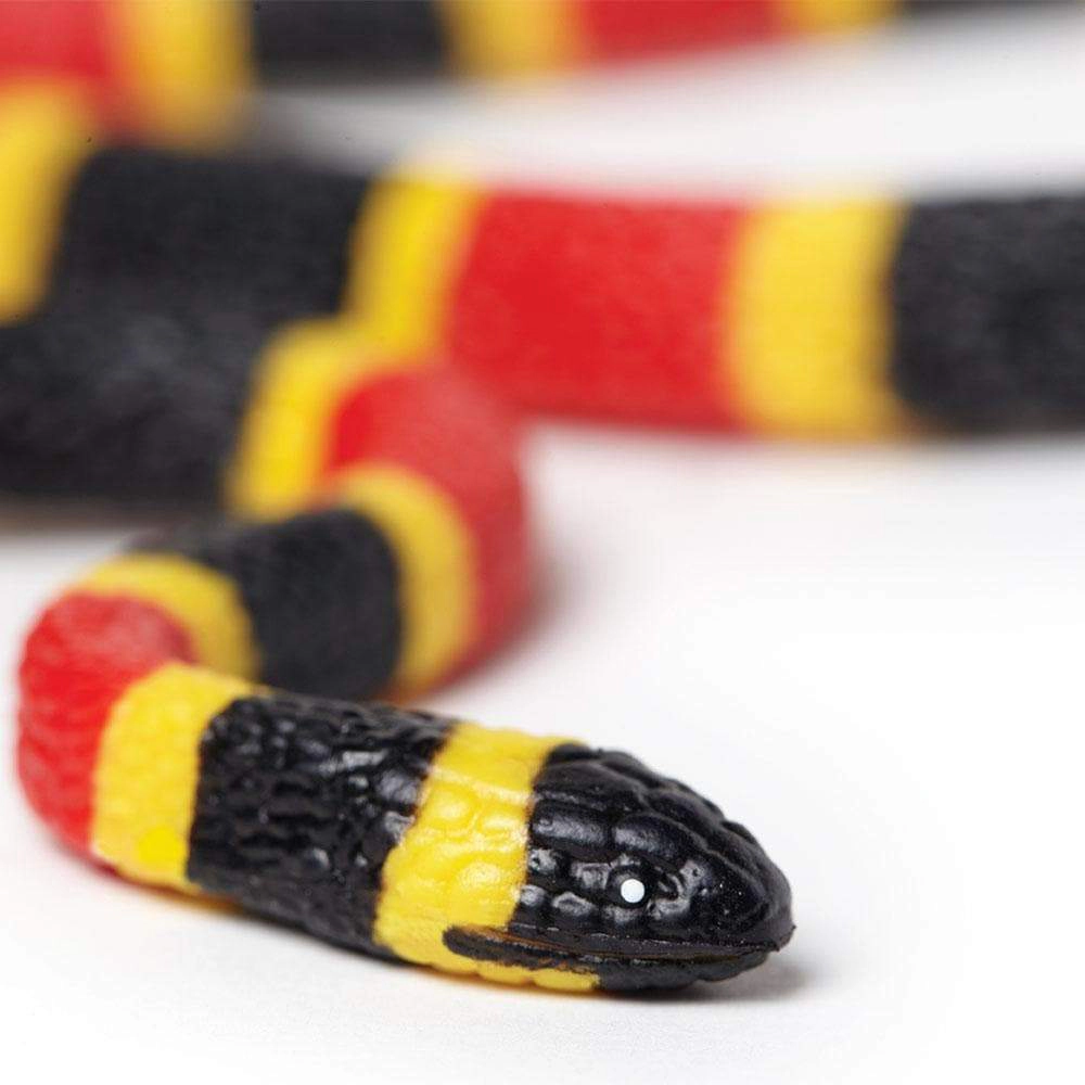 Safari Ltd. - Coral Snake Baby Kids Toy Figure