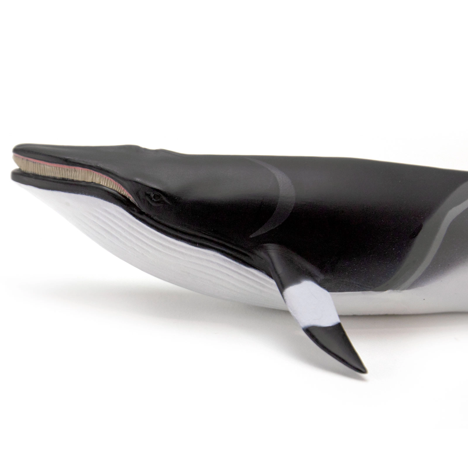 Safari Ltd. - Minke Whale Kids Toy Figure