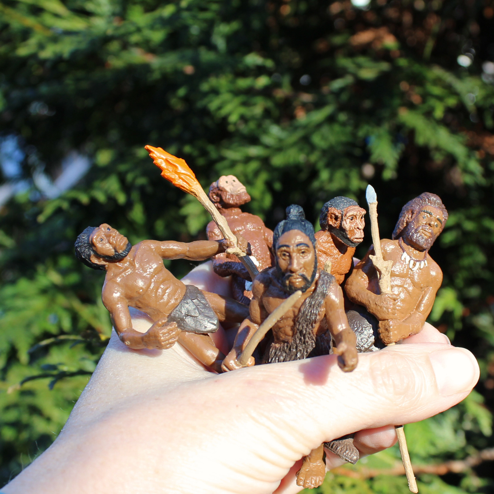 Safari Ltd. - Evolution of Man - Educational Human Evolution Toy Figurines