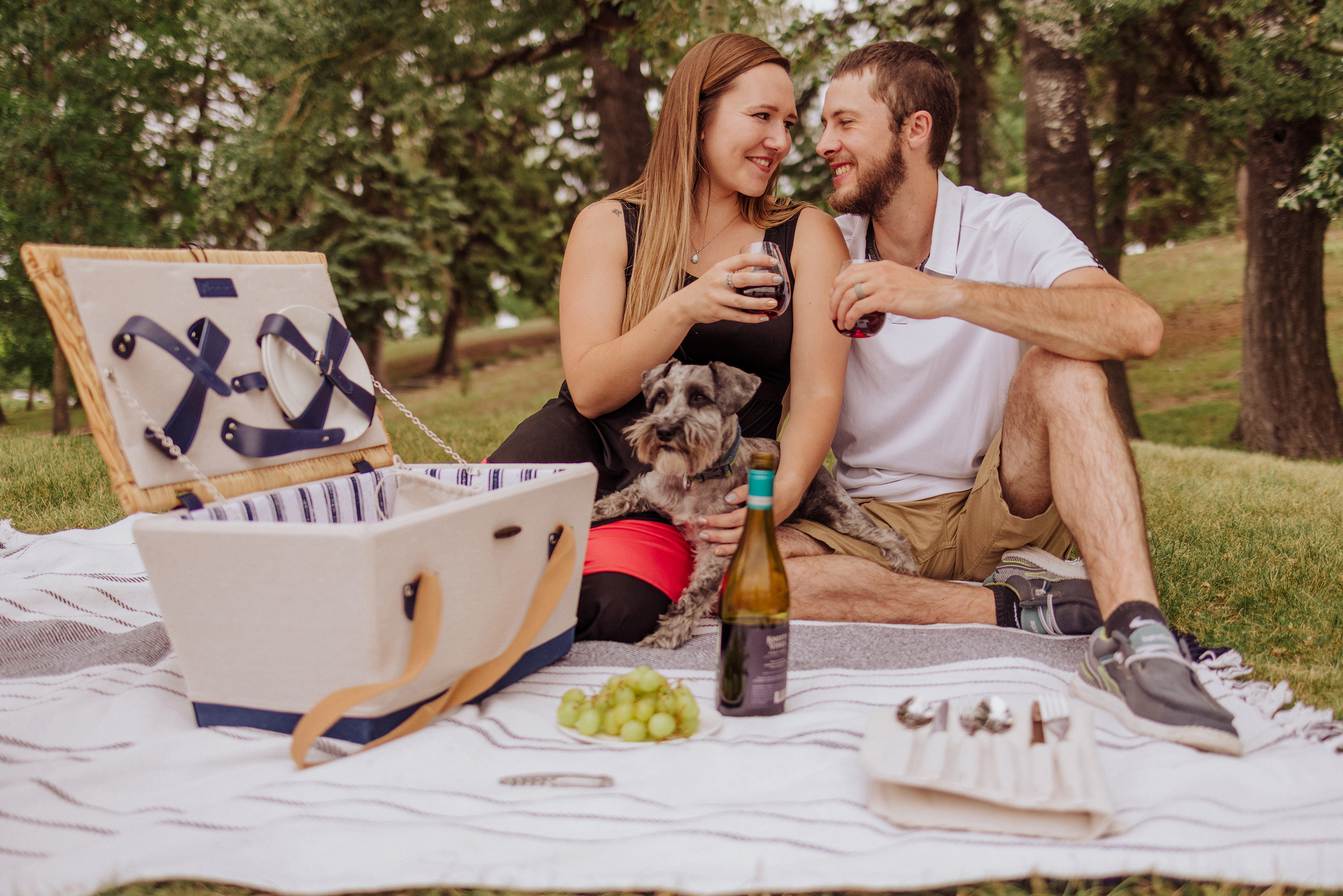 PICNIC TIME Boardwalk Picnic Basket for 4