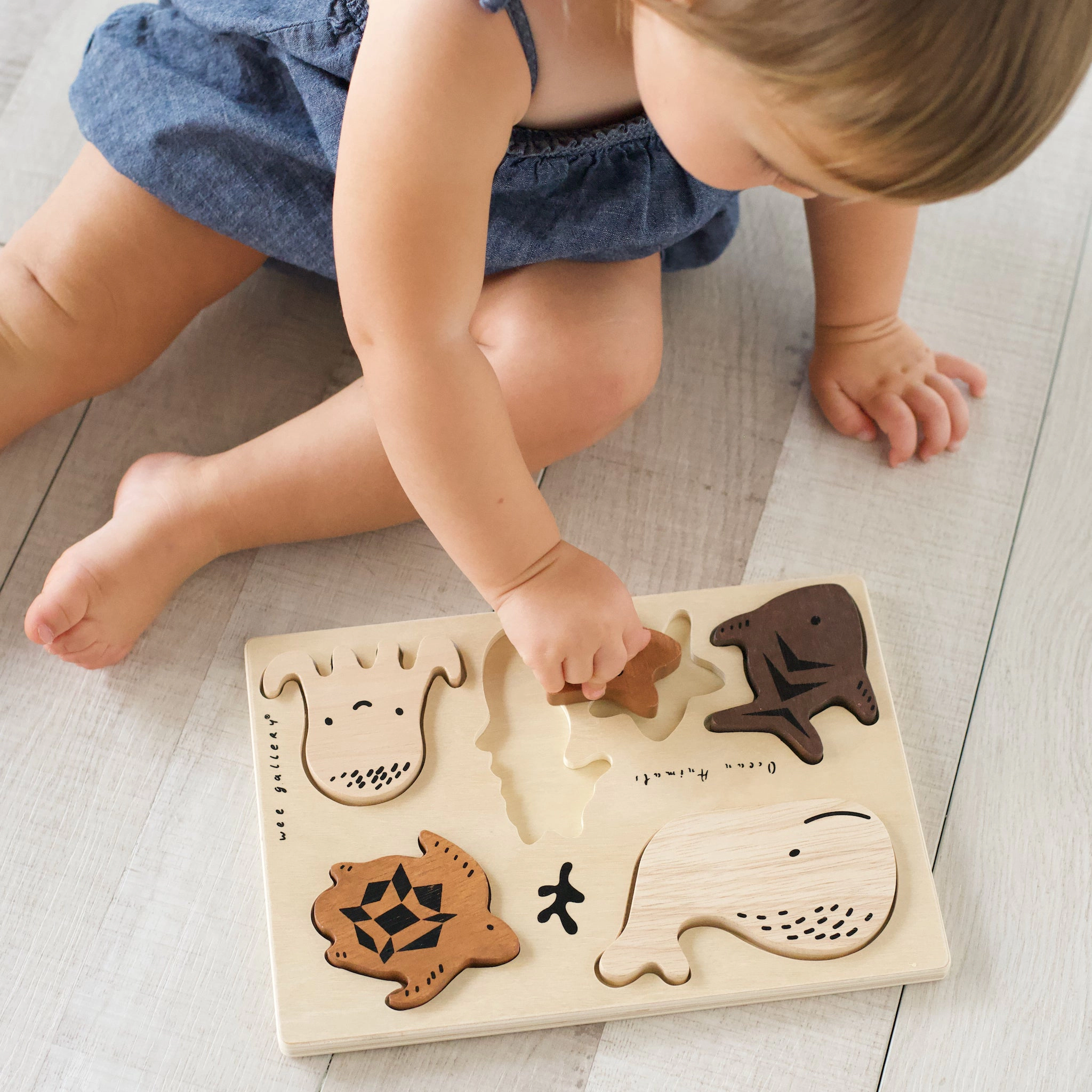 Wee Gallery Ocean Builder Bundle - Ocean Animals Tray Puzzle, Numbered Nesting Blocks, Bamboo Nesting Bird
