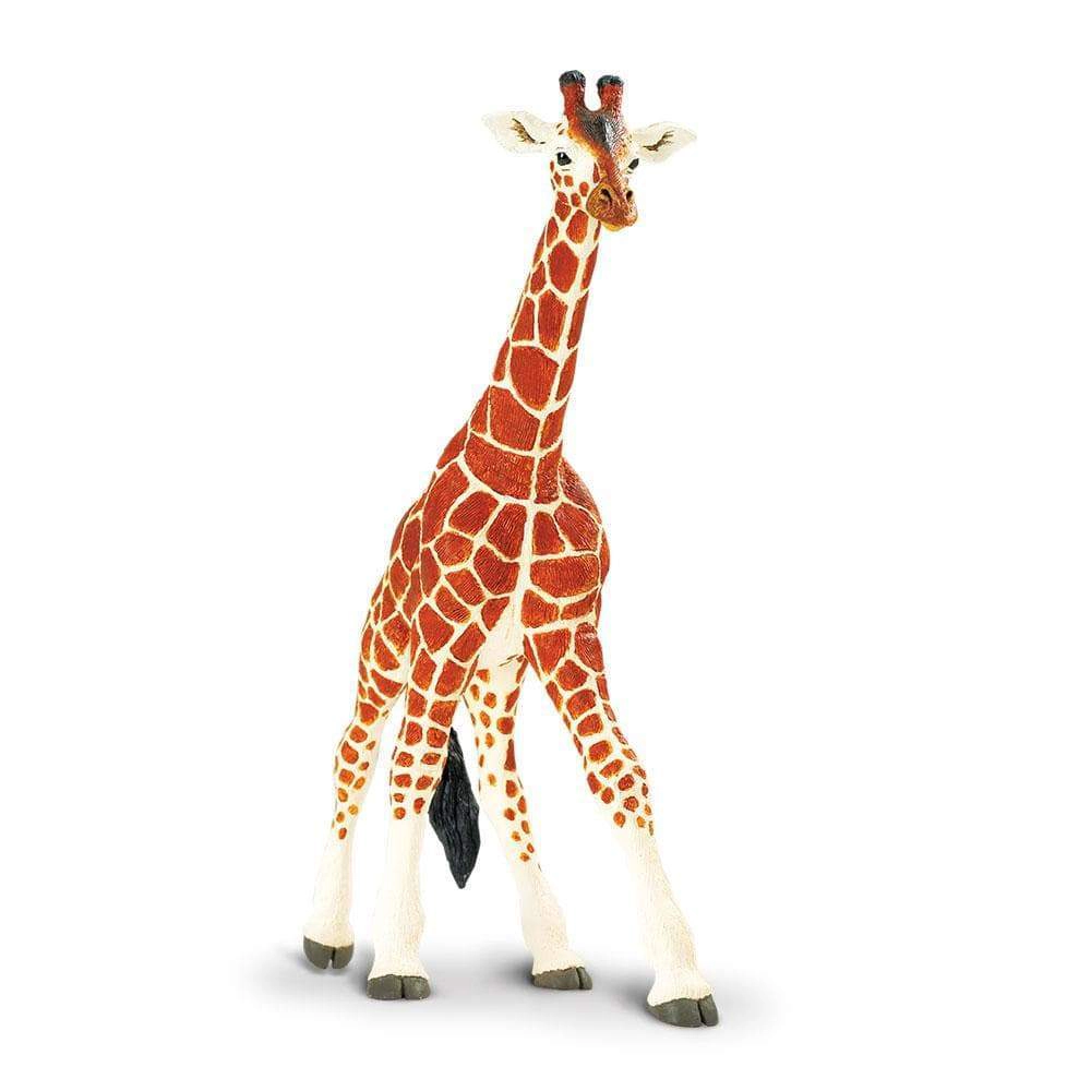 Safari Ltd. - Reticulated Giraffe Kids Toy Figure