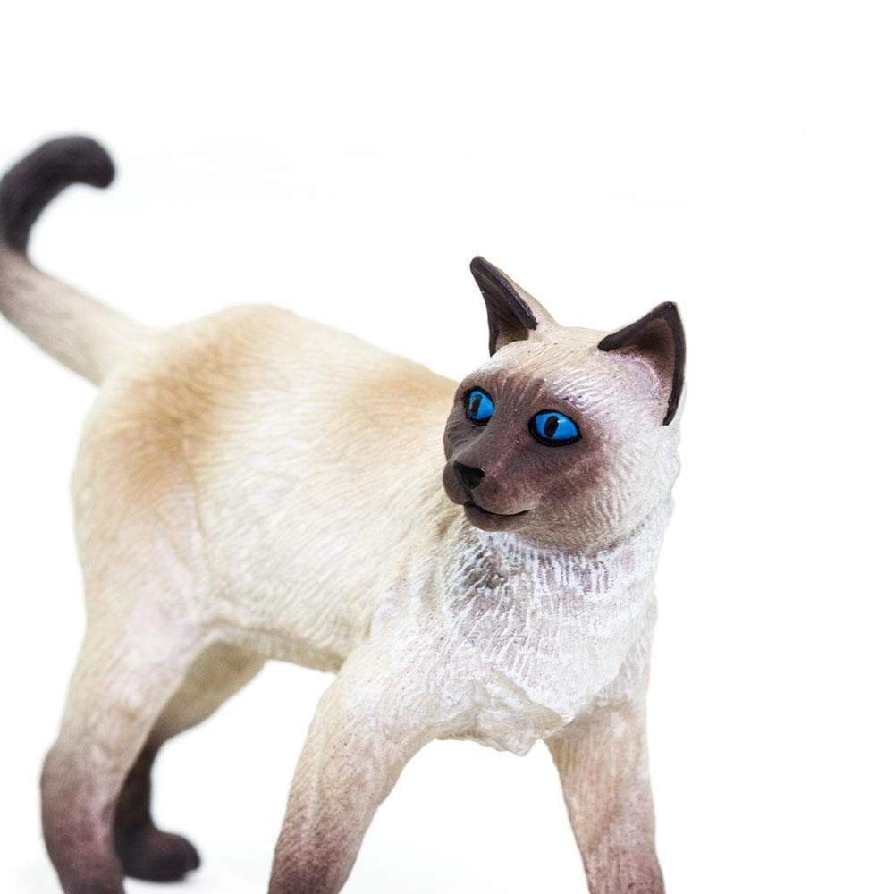 Safari Ltd. - Siamese Cat Kids Toy Figure