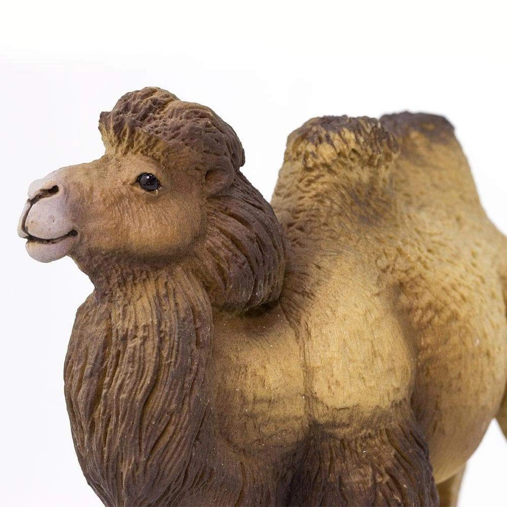 Safari Ltd. - Bactrian Camel Kids Toy Figure