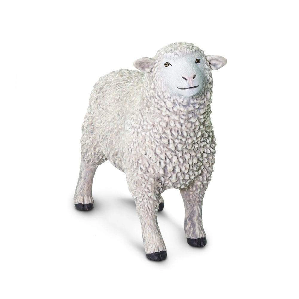 Safari Ltd. - Sheep Kids Toy Figure