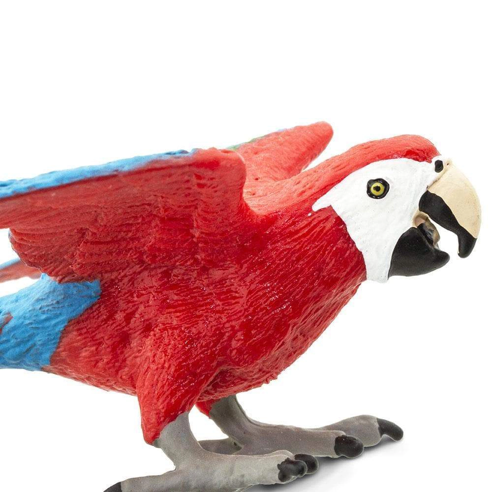 Safari Ltd. - Green-winged Macaw Kids Toy Figure