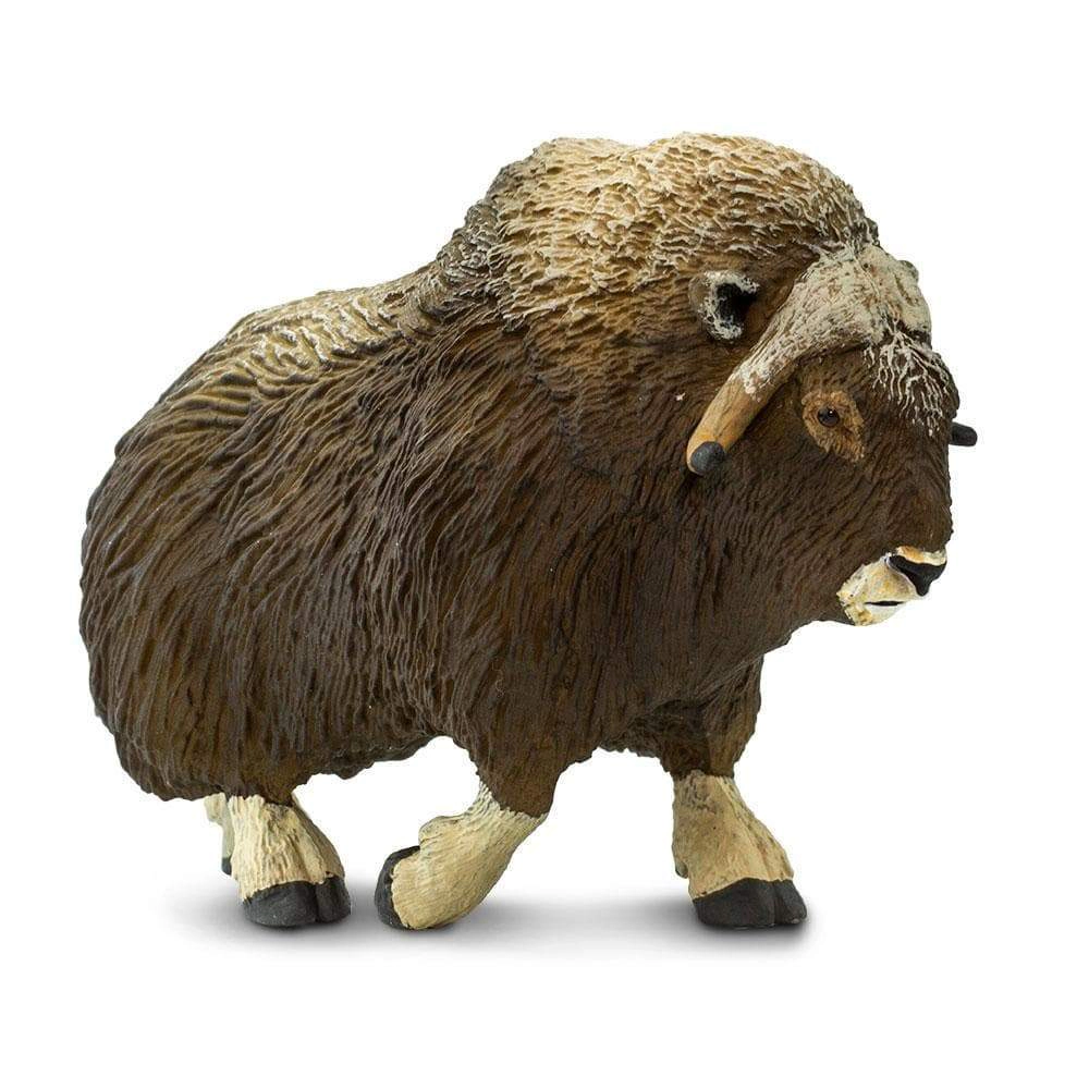 Safari Ltd. - Musk Ox Kids Toy Figure