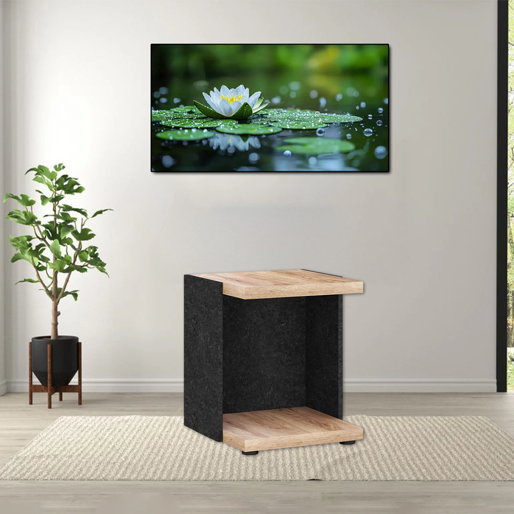 Hivvago Double-Layer End Table with Open Shelf for Sofa or Living Room