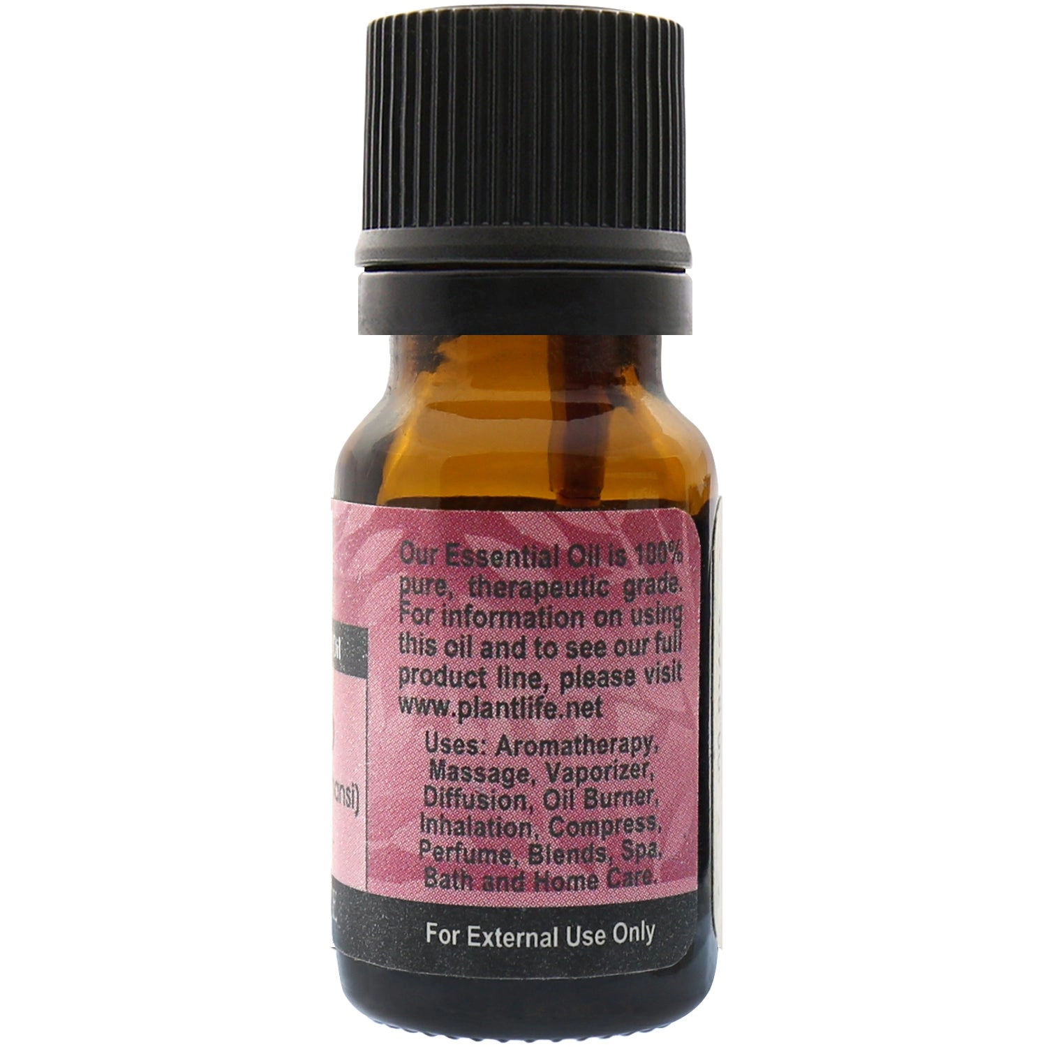 Plantlife Spikenard Essential Oil