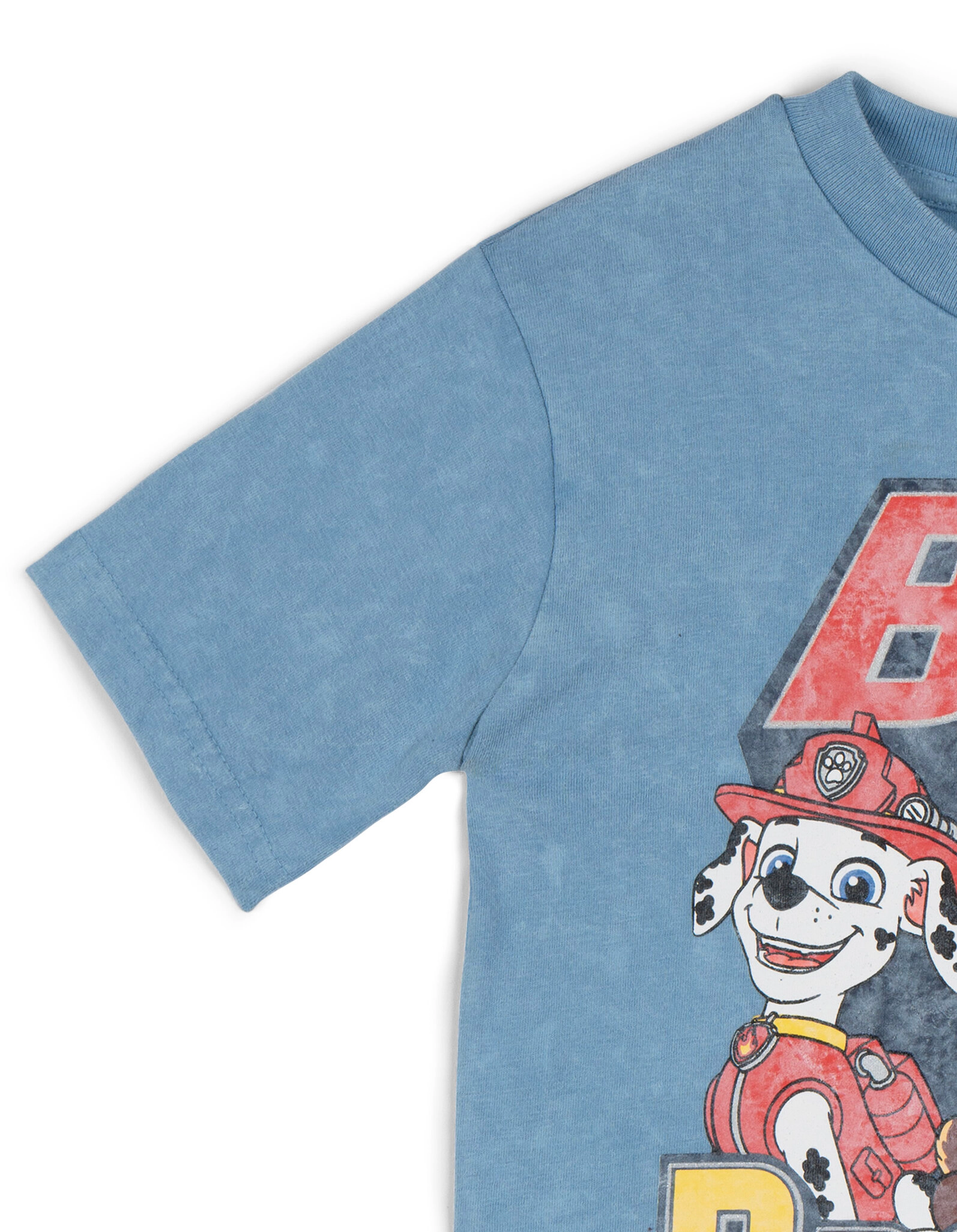 Paw Patrol Boys' Short Sleeve T-Shirt