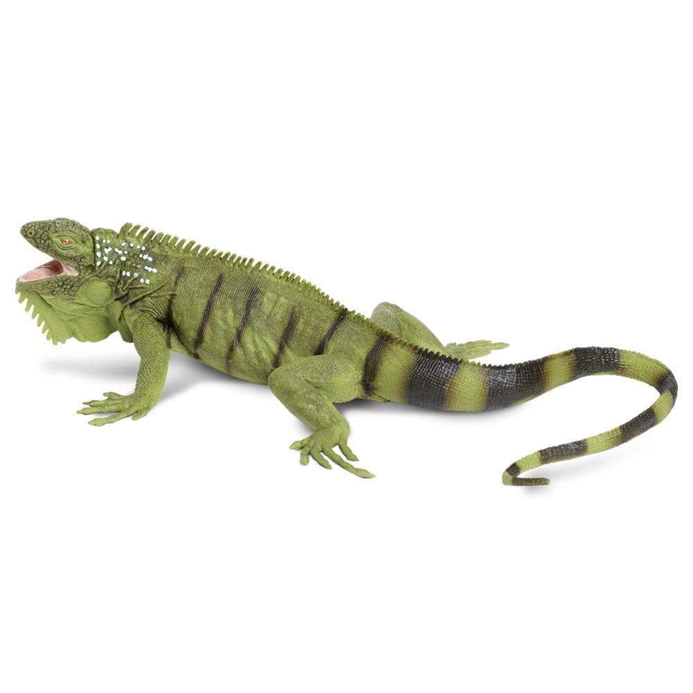 Safari Ltd. - Iguana Kids Toy Figure